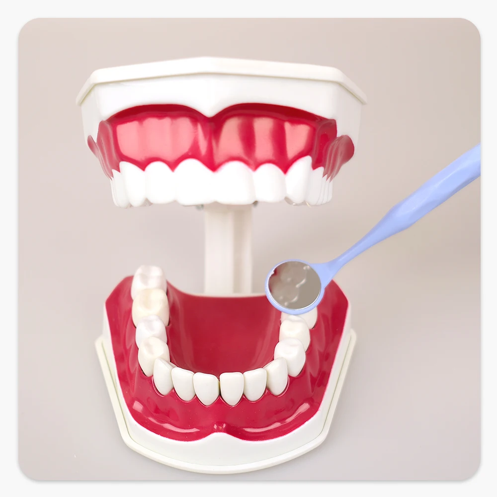 10 sztuk/pudło Dental dwustronne lusterka do ust autoklawowalne Premium przednia powierzchnia reflektor egzaminacyjny lustro jamy ustnej narzędzie