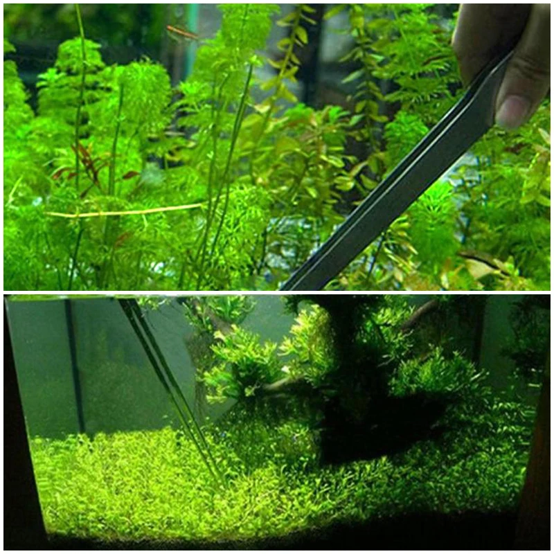 27CM Fish Tank Coral Feeder Water Grass Clip Stainless Steel Long Tongs Tweezers Aquarium Live Tank Feeding Tong For Cleaning