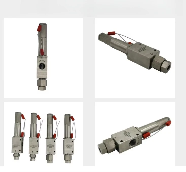 Modello di marca: valvola di ritegno a sfera in acciaio inossidabile 316 ad alta pressione D203 20000 Psi per l'industria petrolifera e gas