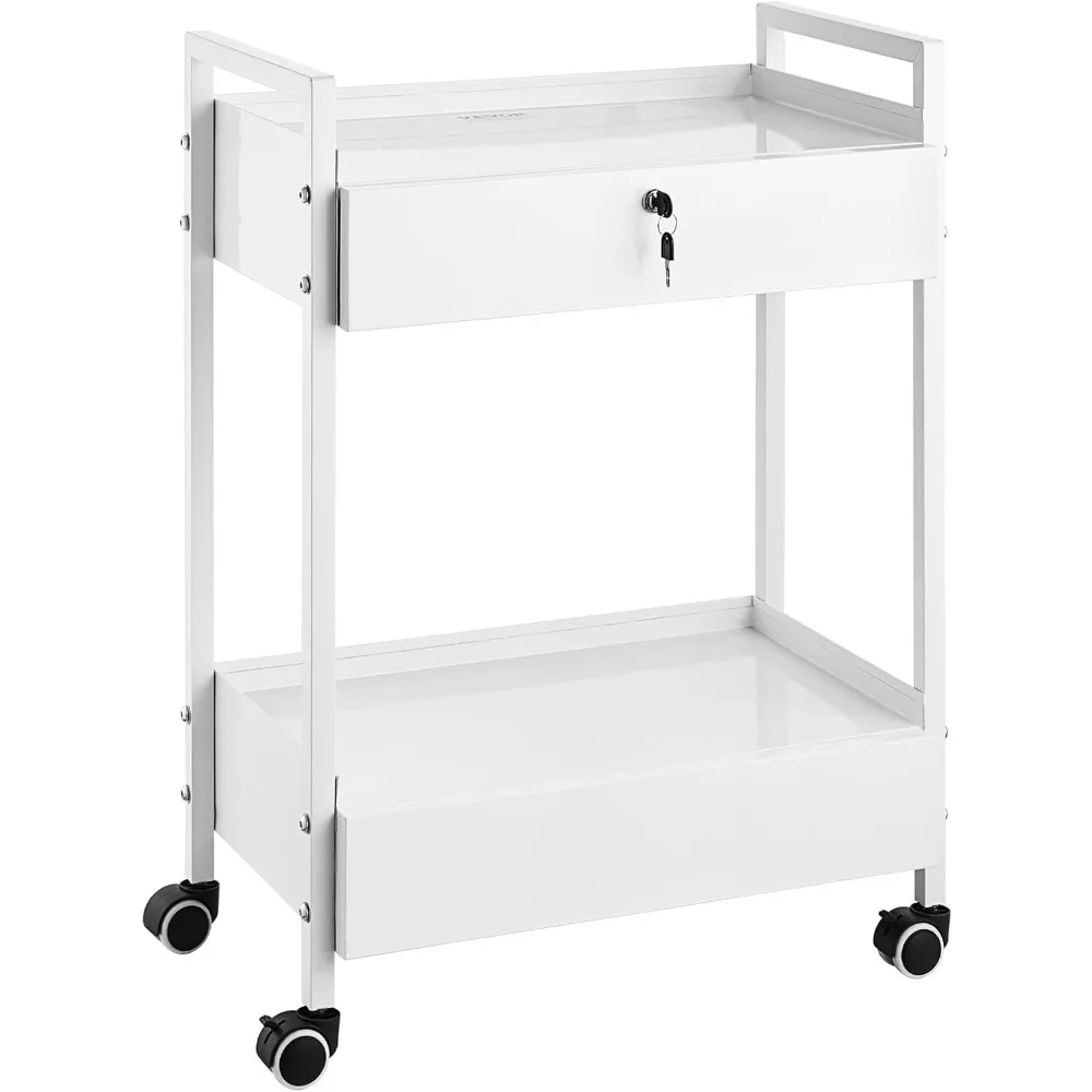 

Lab Cart, 2 Tiers Stainless Steel Utility Cart, Medical Cart with 2 Drawers, Rolling Lab Cart White Paint, Serving Cart