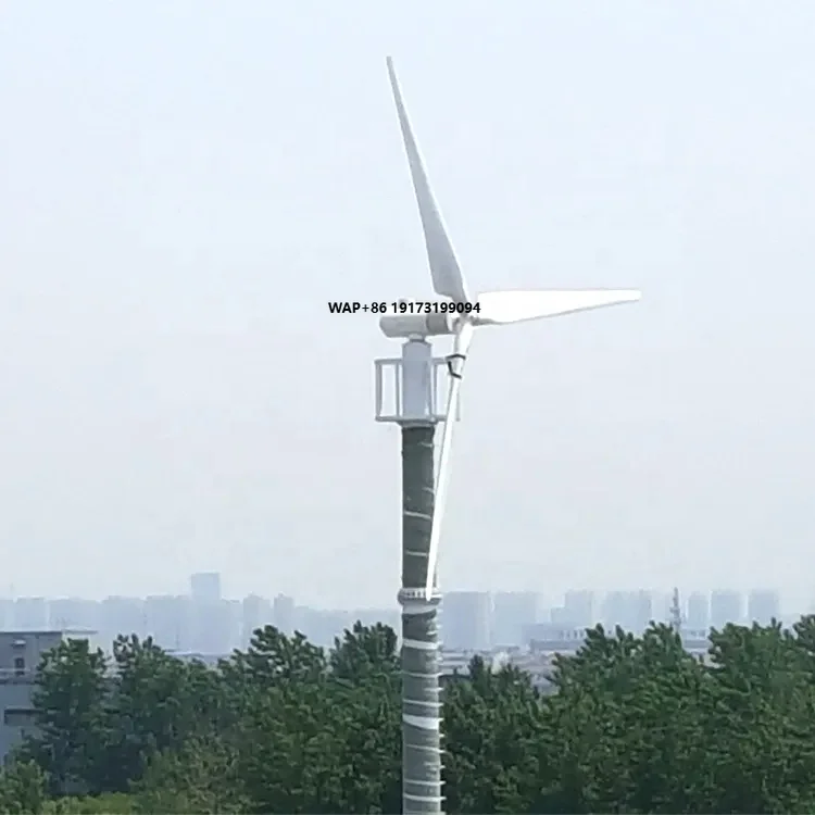 High Quality Horizontal Wind Turbine for Home Use Promotion Price with 220v Output Voltage