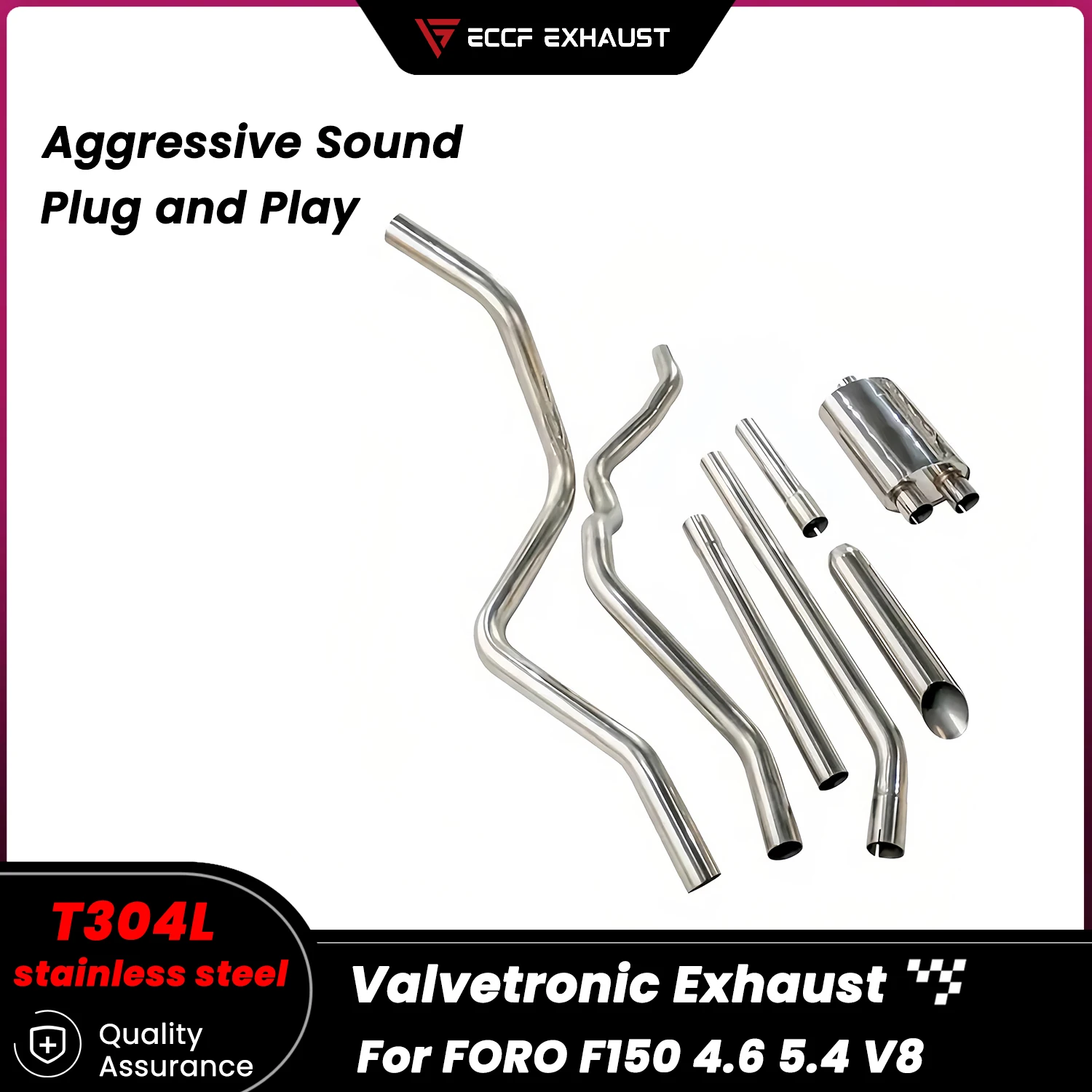 

Aggressive Exhaust Sound Catback Exhaust For FORO F150 4.6 5.4 V8 Performance Upgrade Easy Installation