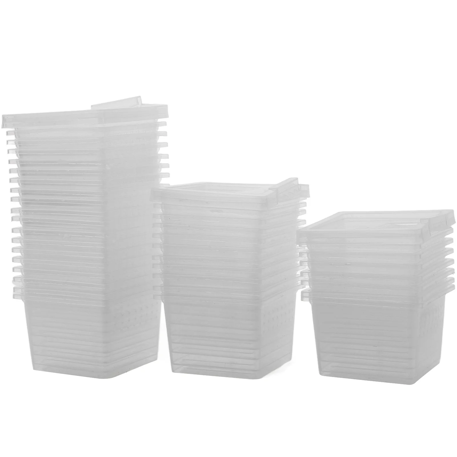 100Pcs Insect Feeding Box Premium Transparent Reptile Breeding Container for Tarantulas Crickets Snails Mantis Lizard Spider