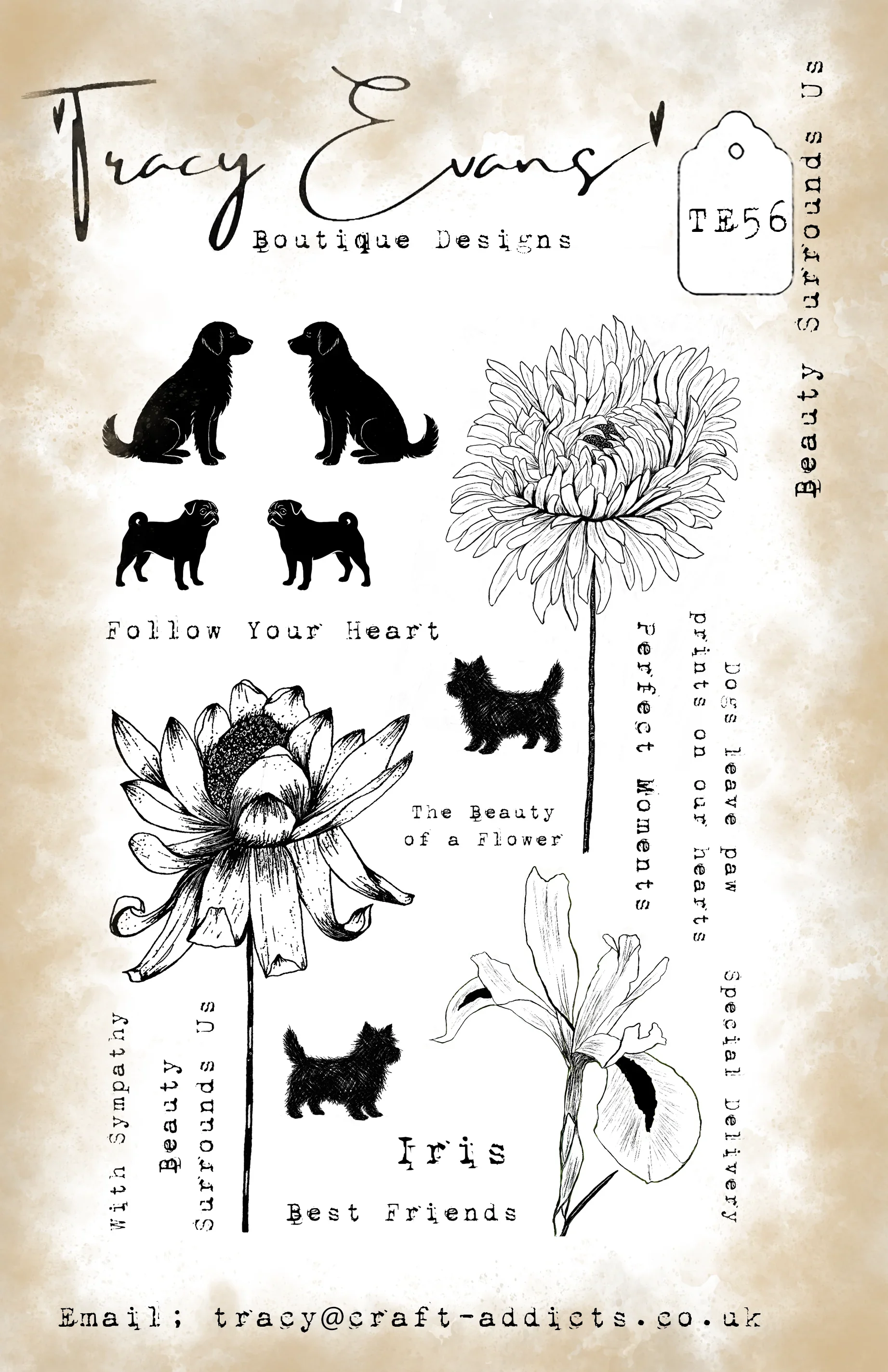 Owl Circular Floral Stamps And Dies Stencil New Arrival 2026 Scrapbook Diary Decoration Stencil Embossing Template DIY greet view 6