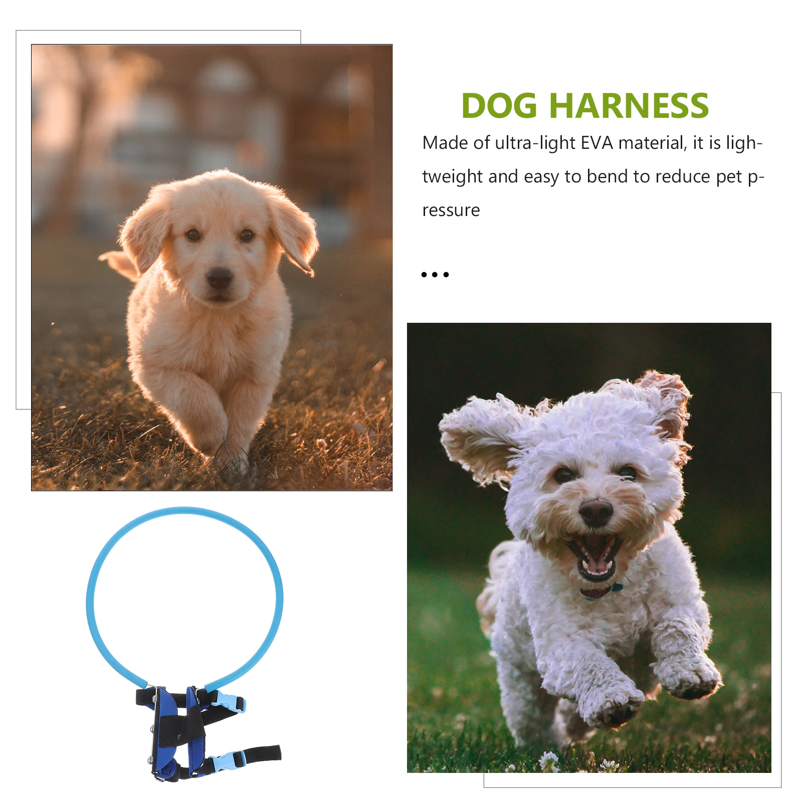 

1pc Anti-Collision Protection Ring For Blind Dogs Cats Durable Easy-Wear Double Buckle Face Protector Safe Mobility Aid Xs 28Cm