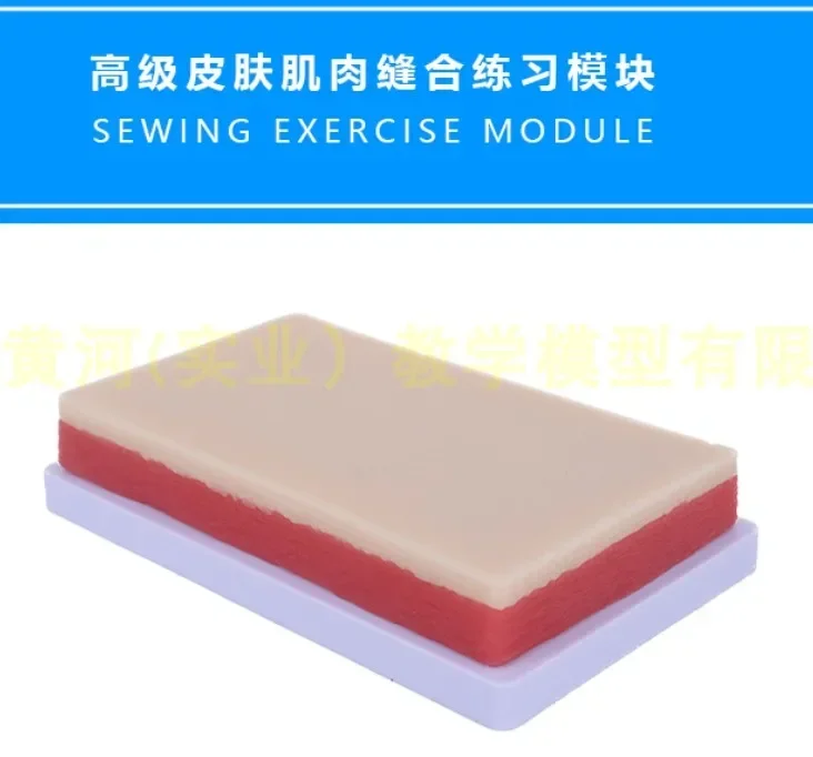 Medical Human Skin Suture Module Muscle Suture Exercise Model Surgical Knot Training Module