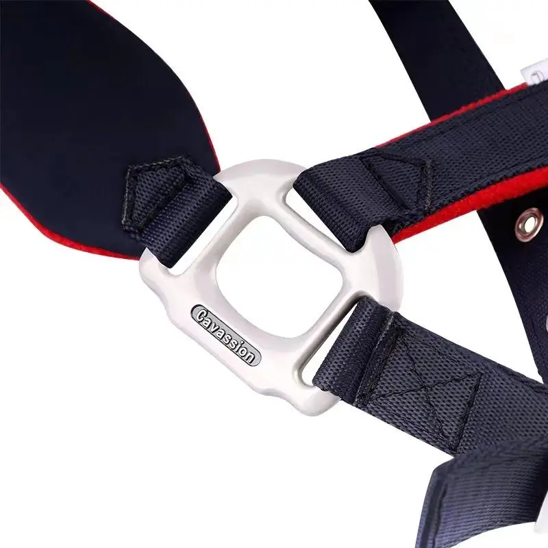 Imbracatura per briglia Anti-abrasione ricamata squisita 1Pc attrezzatura per equitazione accessori professionali per sport equestri