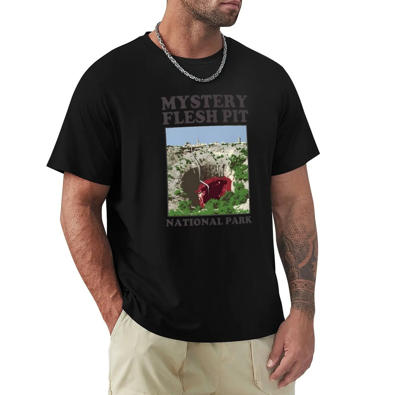

Mystery Flesh Pit National Park A Disaster Reclamation Venture T-Shirt blue archive vintage black t shirts for men