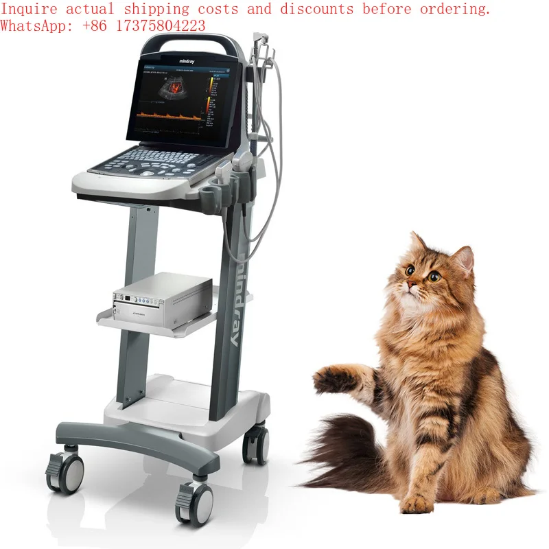 Mindray DP-30 Vet Medical Vet Ultrasound Instrument Digital Portable B/w Ultrasound Scanner for Basic General With Convex Probe