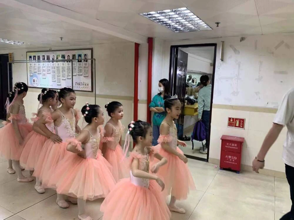 Falda larga de Ballet para niñas, traje profesional de tutú de princesa, vestido de fiesta de bailarina, falda de tutú con tirantes