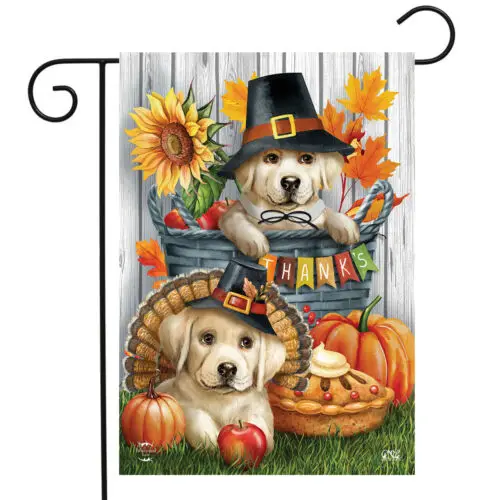 Pilgrim Puppies Garden Flag 12