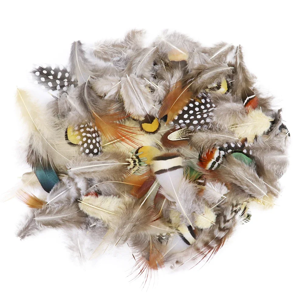 5-15 CM Mixed Style Natural Pheasant Chicken Feathers Jewelry Making Macrame Creations Plumes Decoration Crafts 50 Pcs Wholesale