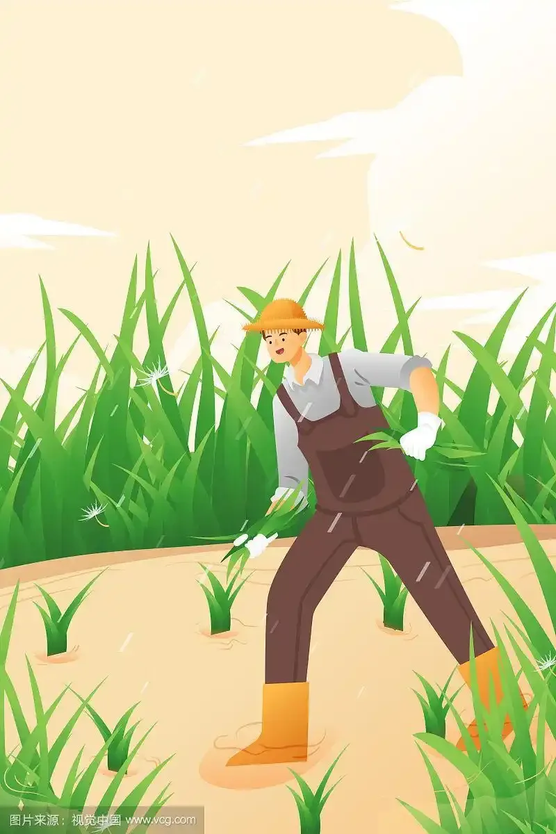 

Lower Suspension Arm Hub Carrier Base C/Steering cup/Metal Drive Shaft For 1/10 TAMIYA CC01 TA02 TA03 4WD Buggy RC Car OP