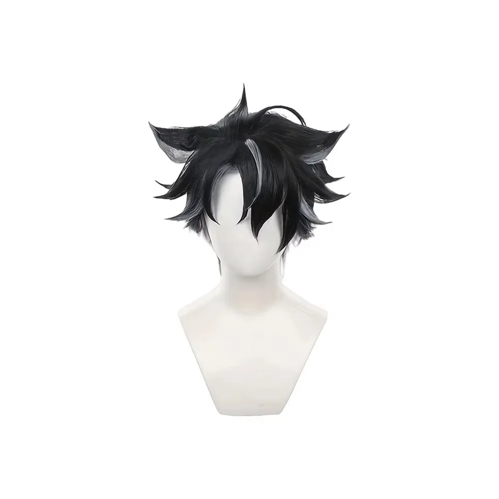 Dark Two Tone Messy Hair Wig Wolf Cut Style Anime Game Role Play Wigs Daily Wear Party Halloween Hairpiece Gift For Boys Men