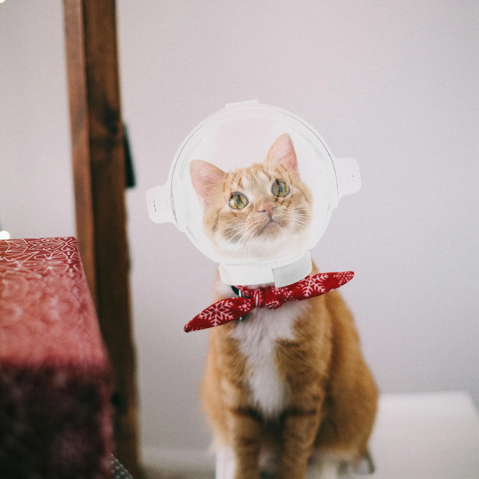 

Cat Anti Bite Transparent Clear Breathable Recovery Hood Protective Head Shield for Cat Healing Clear Kitten