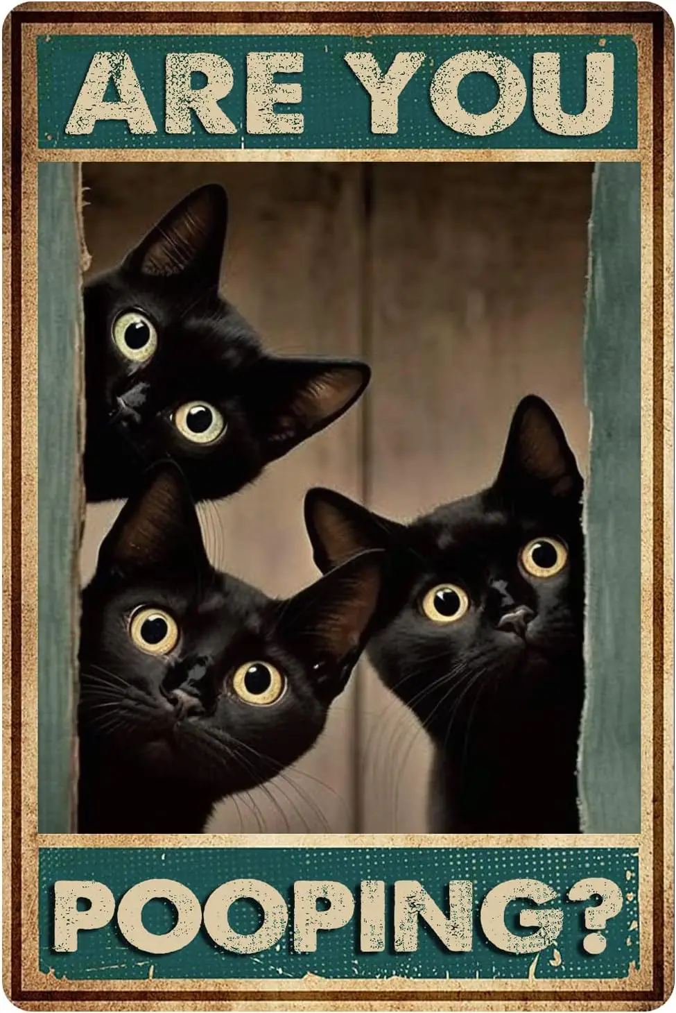 Black Cat Are You Pooping Funny Tin Signs Bathroom Gothic Wall Decor 8 x 12 Inch Sign