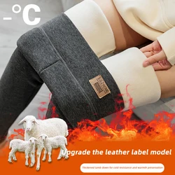 Plush Leggings Women Elastic High Waist Thicken Velvet Stockings Leggings Shaping Winter Cold-proof Leg Socks Charm Leggings