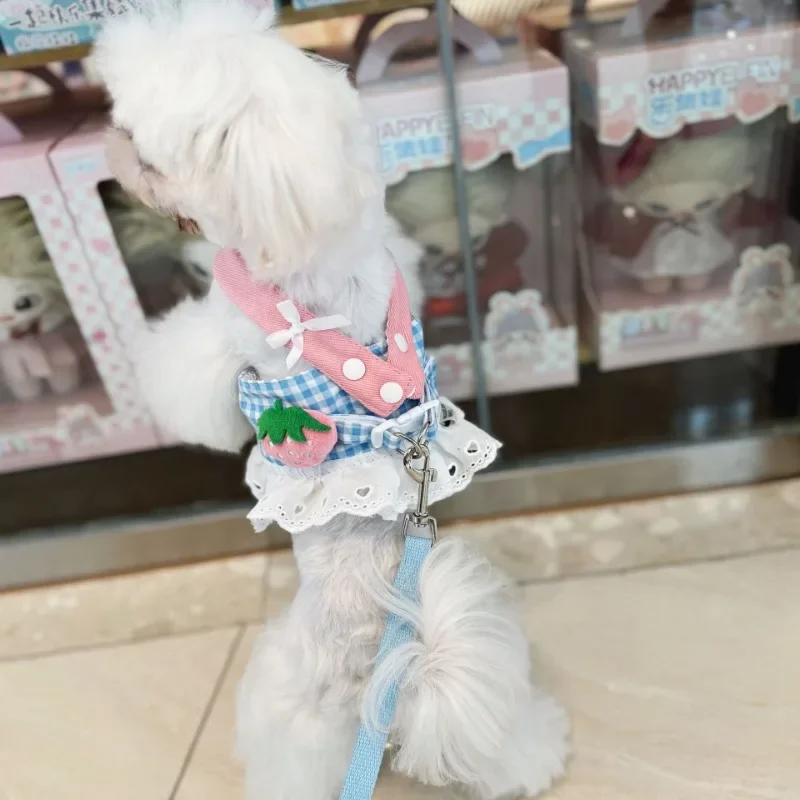 Pet Collars Dog Strawberry Lace Harness Leash Set Vest Lace Chest Strap Puppy Walking Lead Rope for Small Medium Dogs Supplies