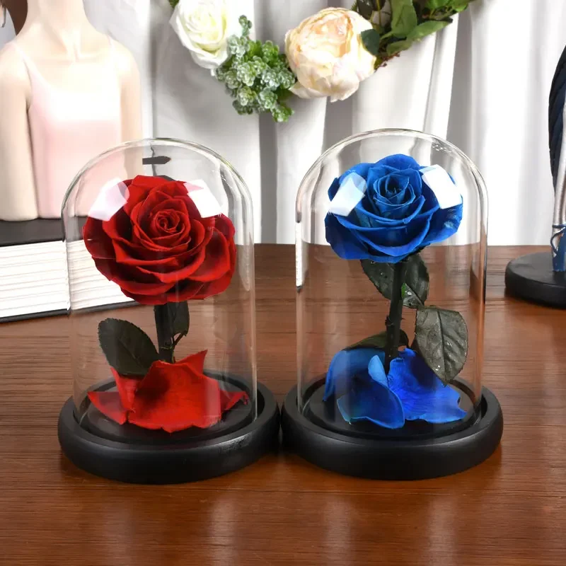 

Preserved Roses in Glass Dome Valentines Day Gifts Forever Eternal Flowers for Women Mother's Day Birthday Anniversary Gift