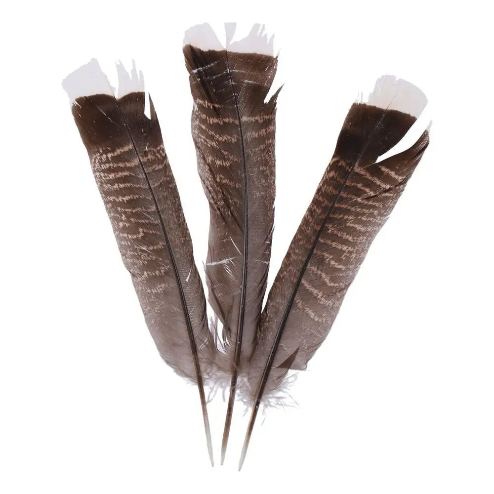 Project Collection Natural Wild Turkey Tails Feathers 8-10inch Black Natural Quill Feathers Feathers DIY Crafts