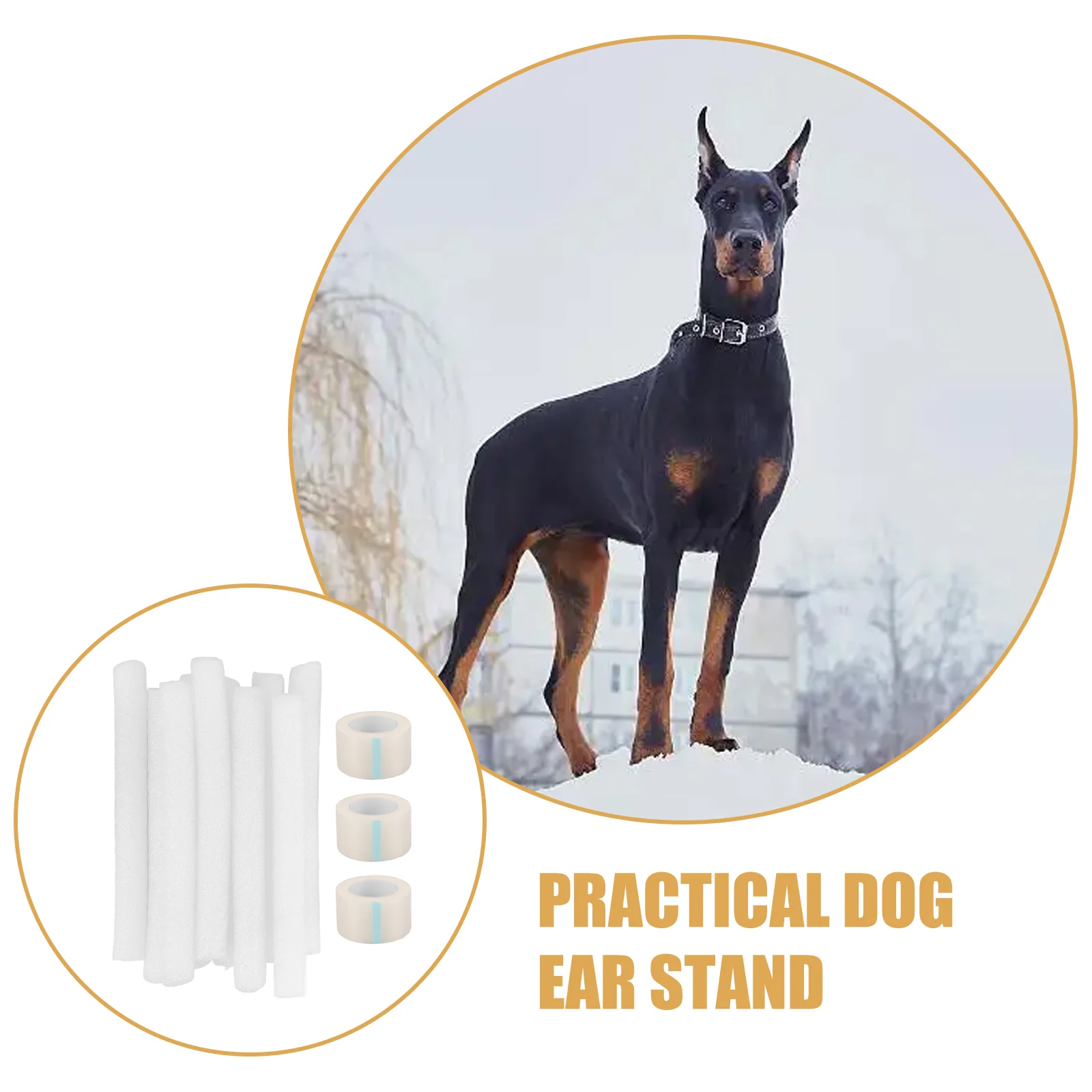 10 Pcs Large and Small Puppy Ear Erecting Device Standing Support Dog Accessory Tool Tape Pet Adhesive Car Stickers Pets