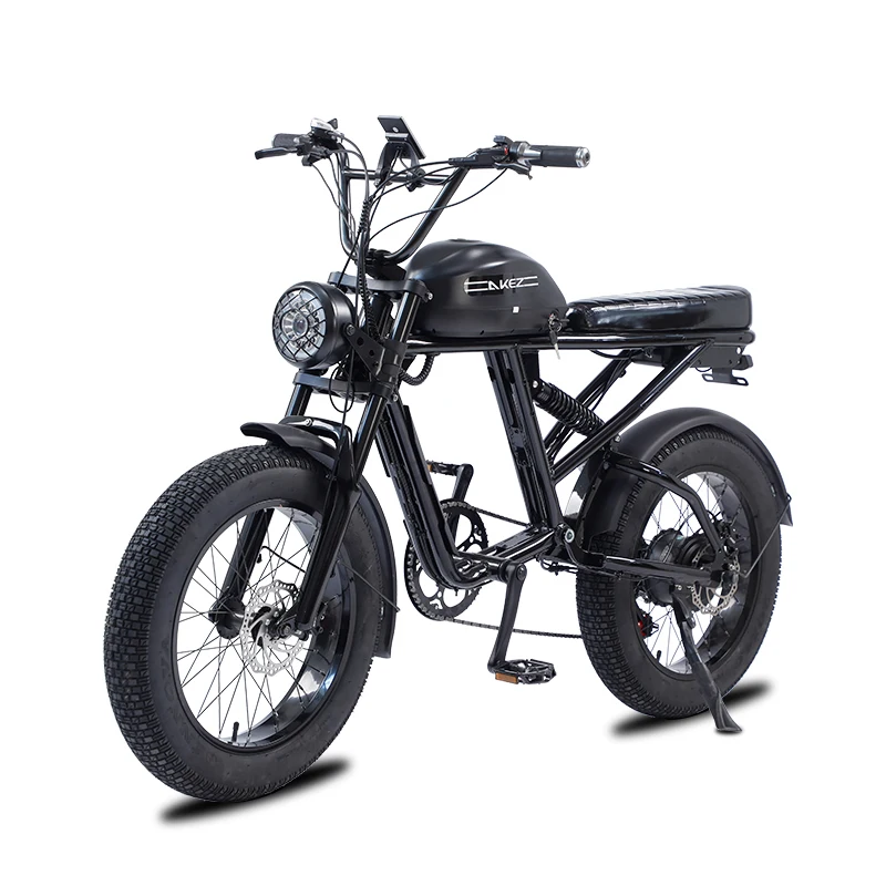 

20 Inch 750W/1500W 18/23AH Electric Bike 45km/h E-bike Variable Speed Snow Assisted Electric Bicycle