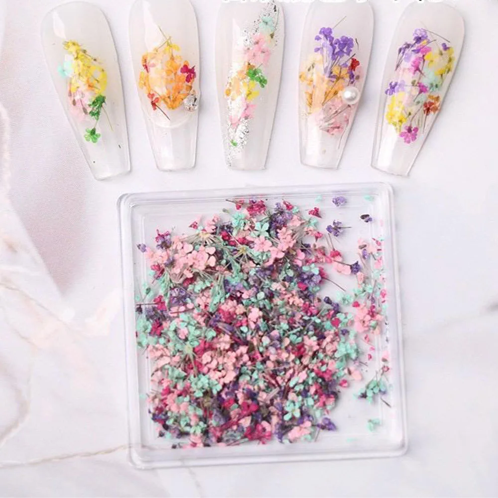 Mixed Color Dried Flowers for Nails Design Stickers Colorful Dried Flower Decoration Decal Floral Manicure Accessories Parts