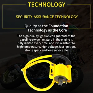 NIBBI Universal Zündspule eigentlich für Offroad Cyclomotor Kymco Motorrad laufen Dirt Bike ATV Scooter 2T 4T Motorzündungssystem 6 Hauptverkaufszündungsspule 12V - №6