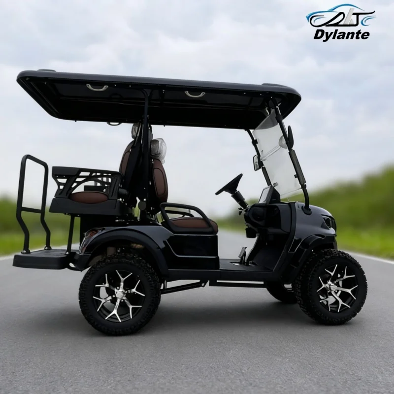 تصميم جديد 48/60/72 فولت بطارية الرصاص الحمضية تعمل بالطاقة عربات الغولف نادي السيارات 3 صفوف 6 مقاعد عربة جولف كهربائية الجملة والتجزئة #5