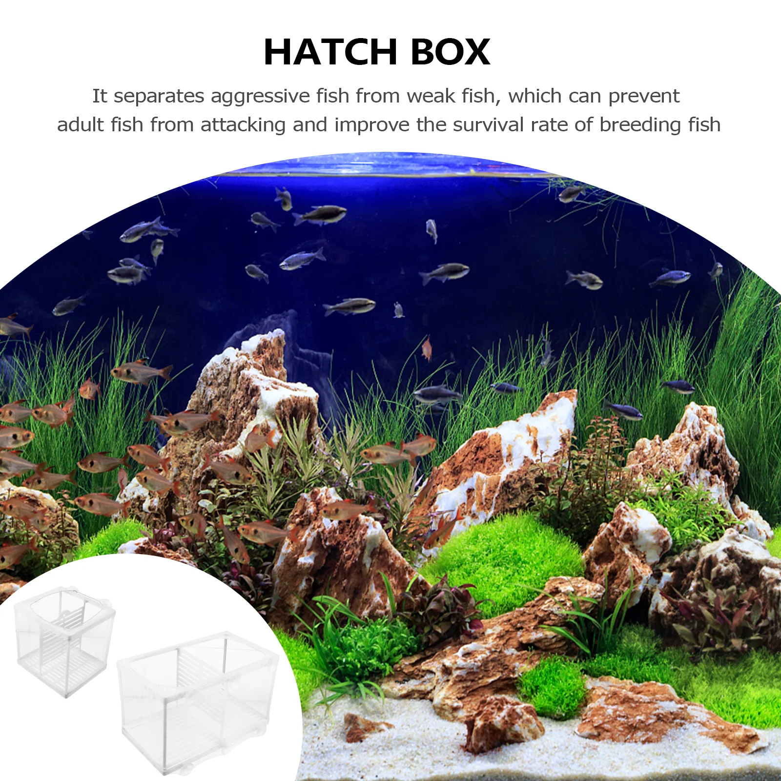 

2Pcs Fish Fry Separation Net Hatchery Plastic Aquarium Breeder Tank Incubator Clear Design Easy Install