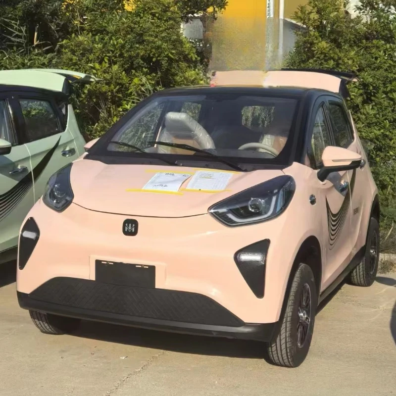 Lithium battery electric vehicle hot-selling 2WD purple lead lithium energy electric vehicle women's model