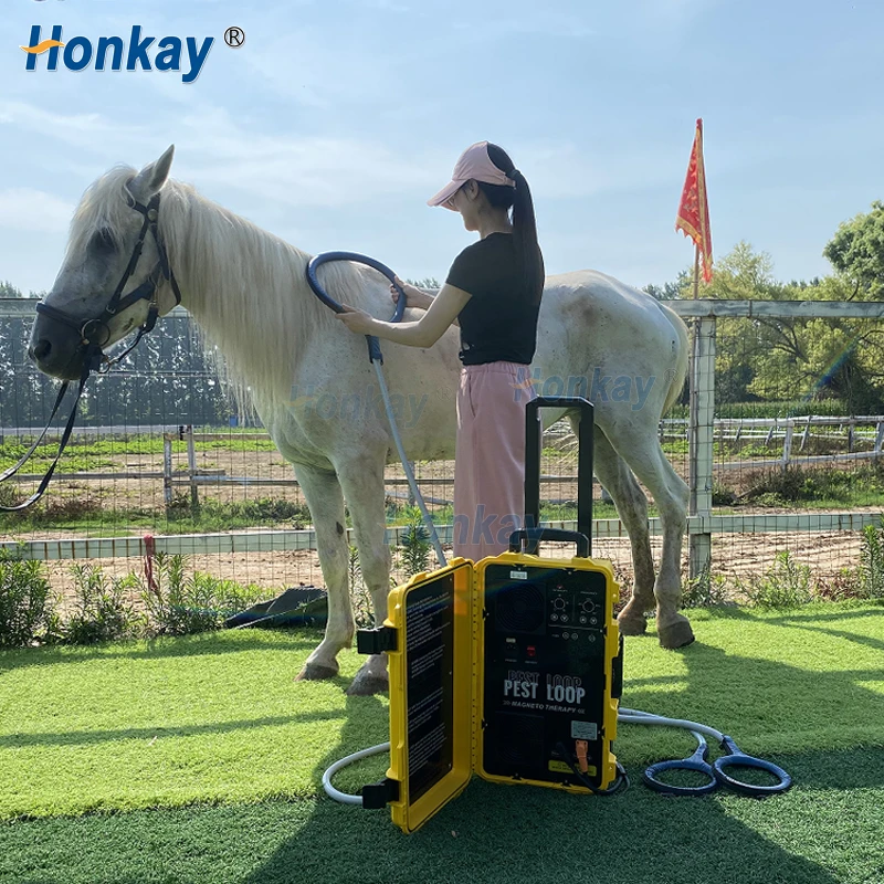 Portable Horse PEMF Device Equine PEMF Magnetic Therapy Machine Pemf Loop Vet Treating Injuries Muscle Recovery for Racehorses