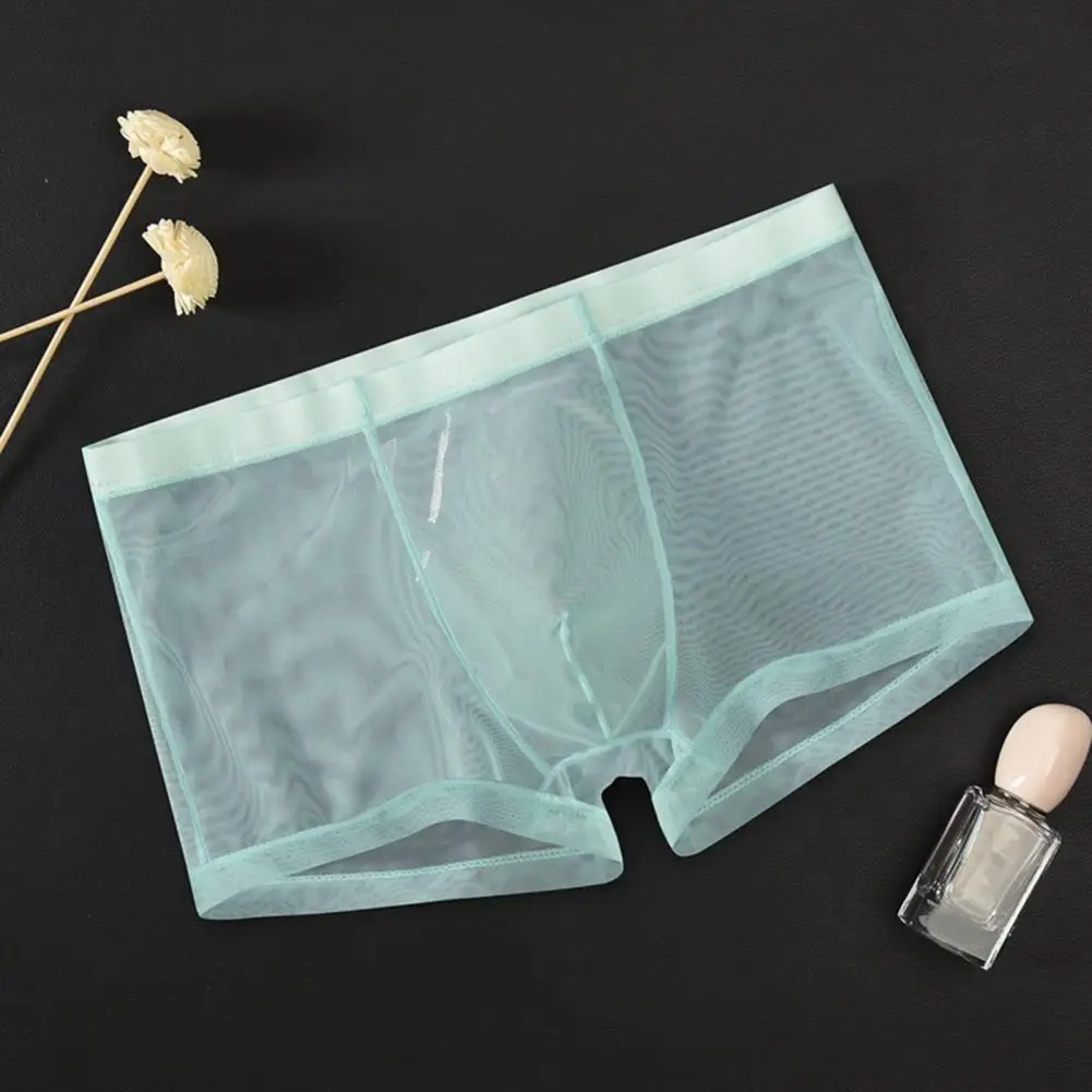Men See Through Underpants Breathable Solid Color Ice Silk Elastic Waist Polyester Quick Dry Mesh Men Boxers Underwear Lingerie image 2