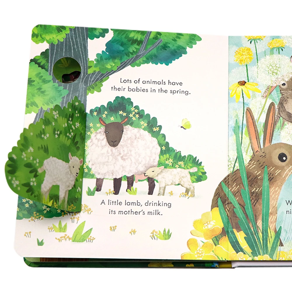 Usborne Peep Inside Springtime 3D Flap Picture Books for Kids Bedtime Reading Montessori Educational English Books