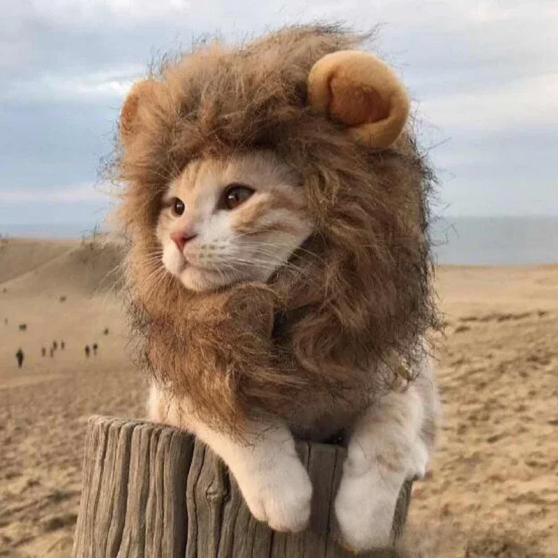 

Universal for Cats and Dogs, Adjustable Autumn and Winter Lions Turn Into Pet Hats