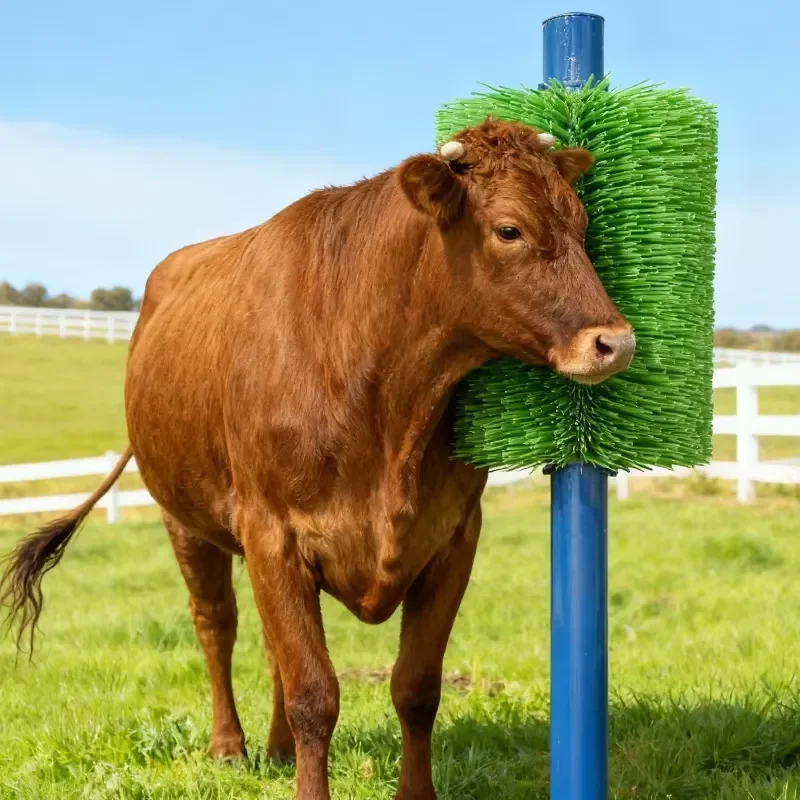 Easy Install New PP Durable Vertical Unpowered Cattle Massage Brush for Dairy Farm Livestock Use