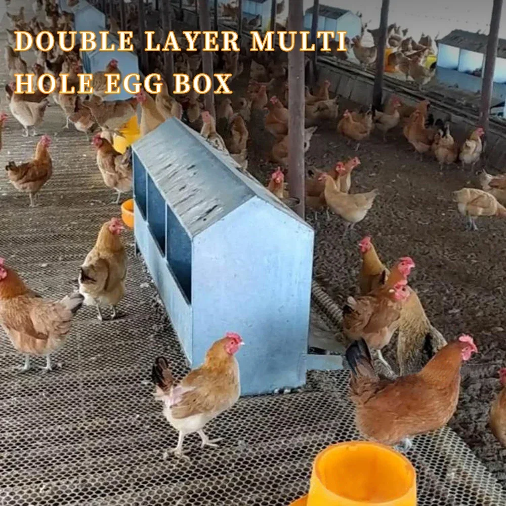 Hens Poultry Eggs Coop Farm Layer Chickens 12 Holes Chicken Laying Nest Box