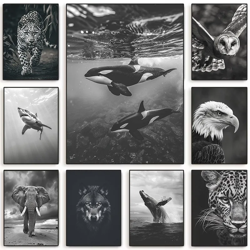 Vintage Wildlife Canvas Print Black & White Animal Poster Orca Owl Eagle Nature Wall Art Retro Jungle Decor For Living Room Gift