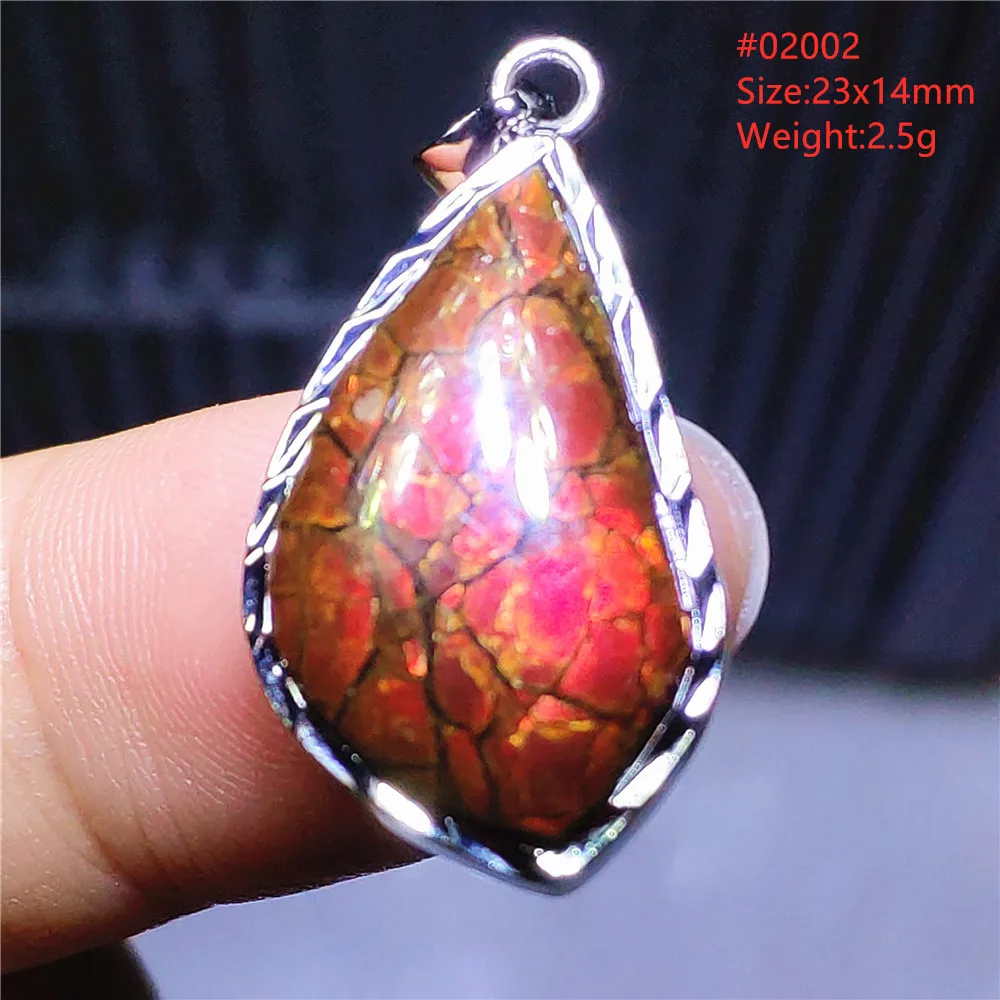 Natural Red Ammonite Ammolite Pendant Light Gemstone Green Ammolite 925 Sterling Silver Women Men Canada Necklace AAAAA