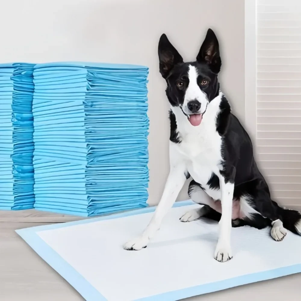 #30 Best Dog Diaper Pads & Liners to Buy In 2026
