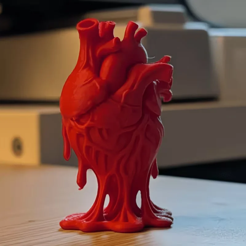 Collectible Figurines ，Anatomically Detailed Heart Anatomy Model with Labeled Chambers & Valves Desktop decorative ornaments