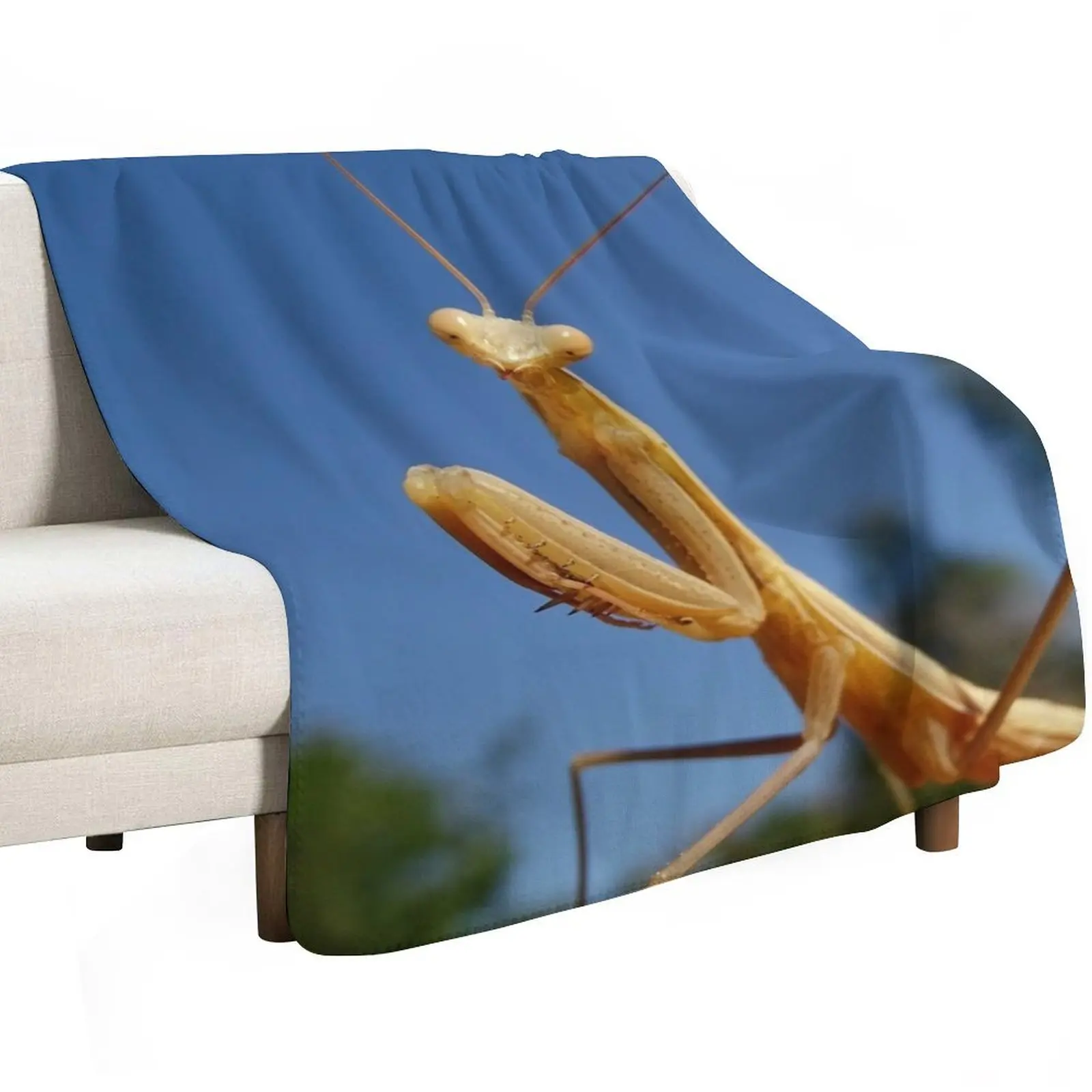 Praying mantis Throw Blanket Soft Plush Plaid valentine gift ideas Beach Comforter Decorative Sofas Personalized Gift Blankets