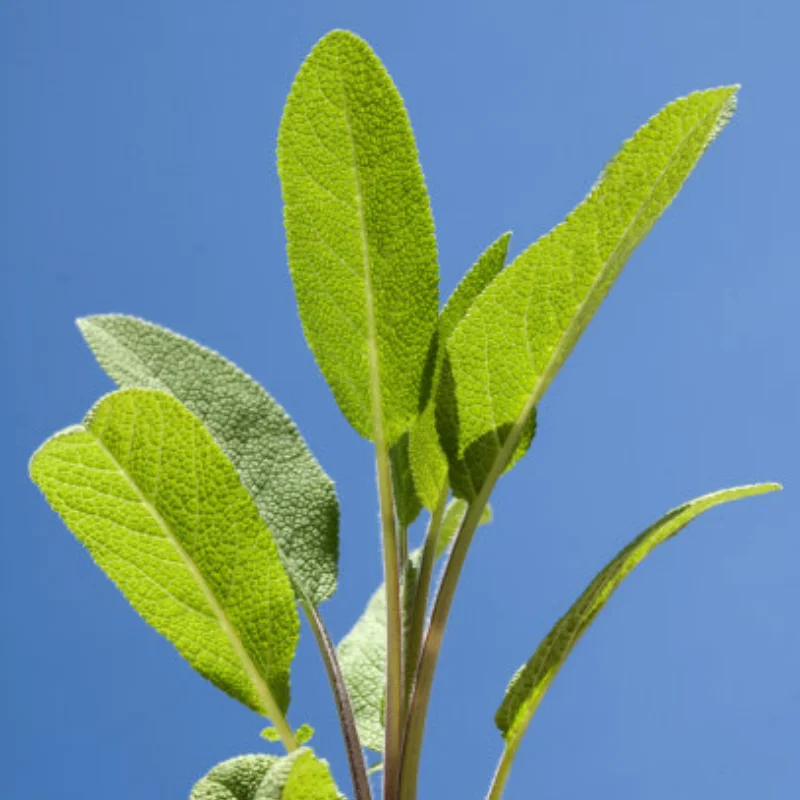 

4 шт., 5-спицевая шина 100x42 мм, шина 17 мм, шестигранное колесо для Arrma 1/7, без ограничений, Felony, детали для обновления радиоуправляемого автомобиля