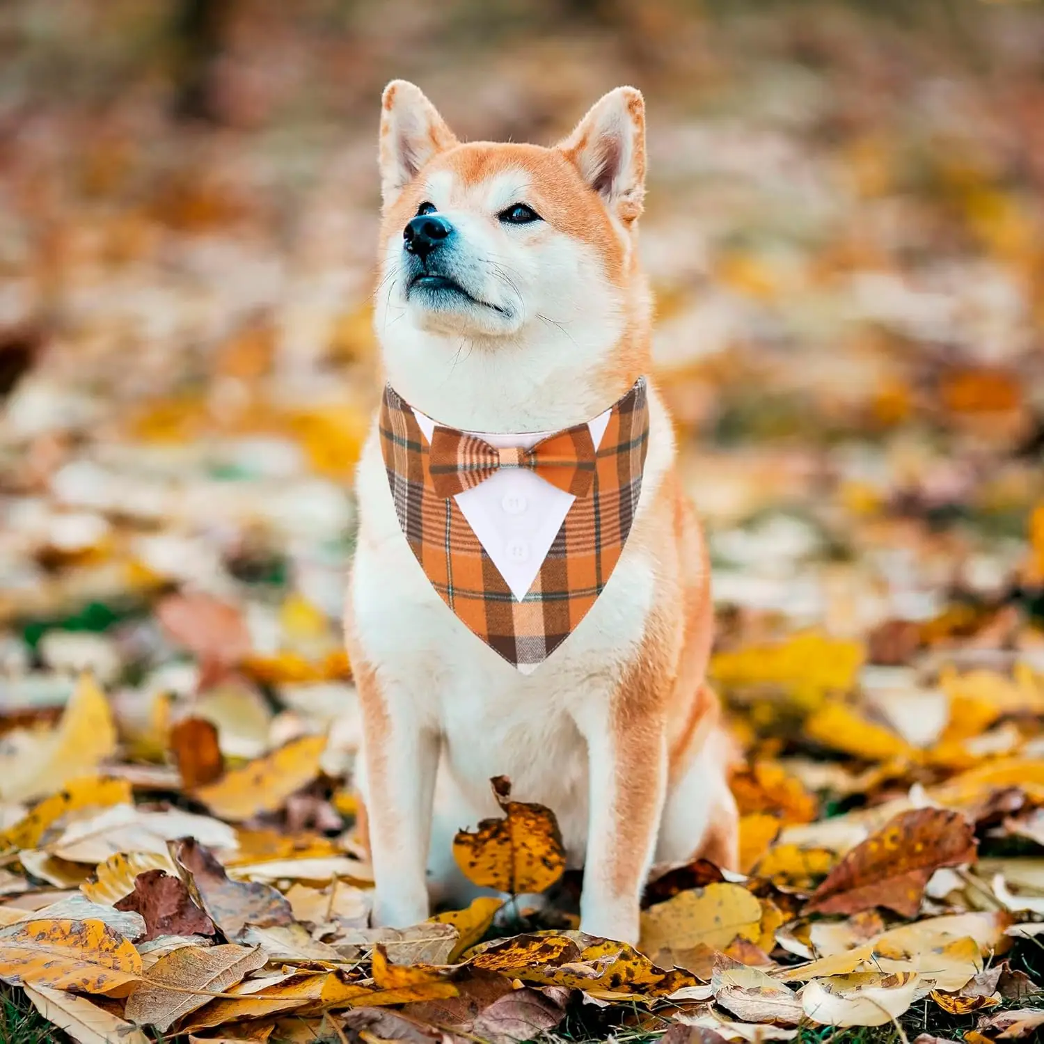 Fall Dog Tuxedo Bandana Orange Plaid Dog Tux with Bowtie Adjustable Dog Halloween Thanksgiving Formal Costume for Medium Dogs