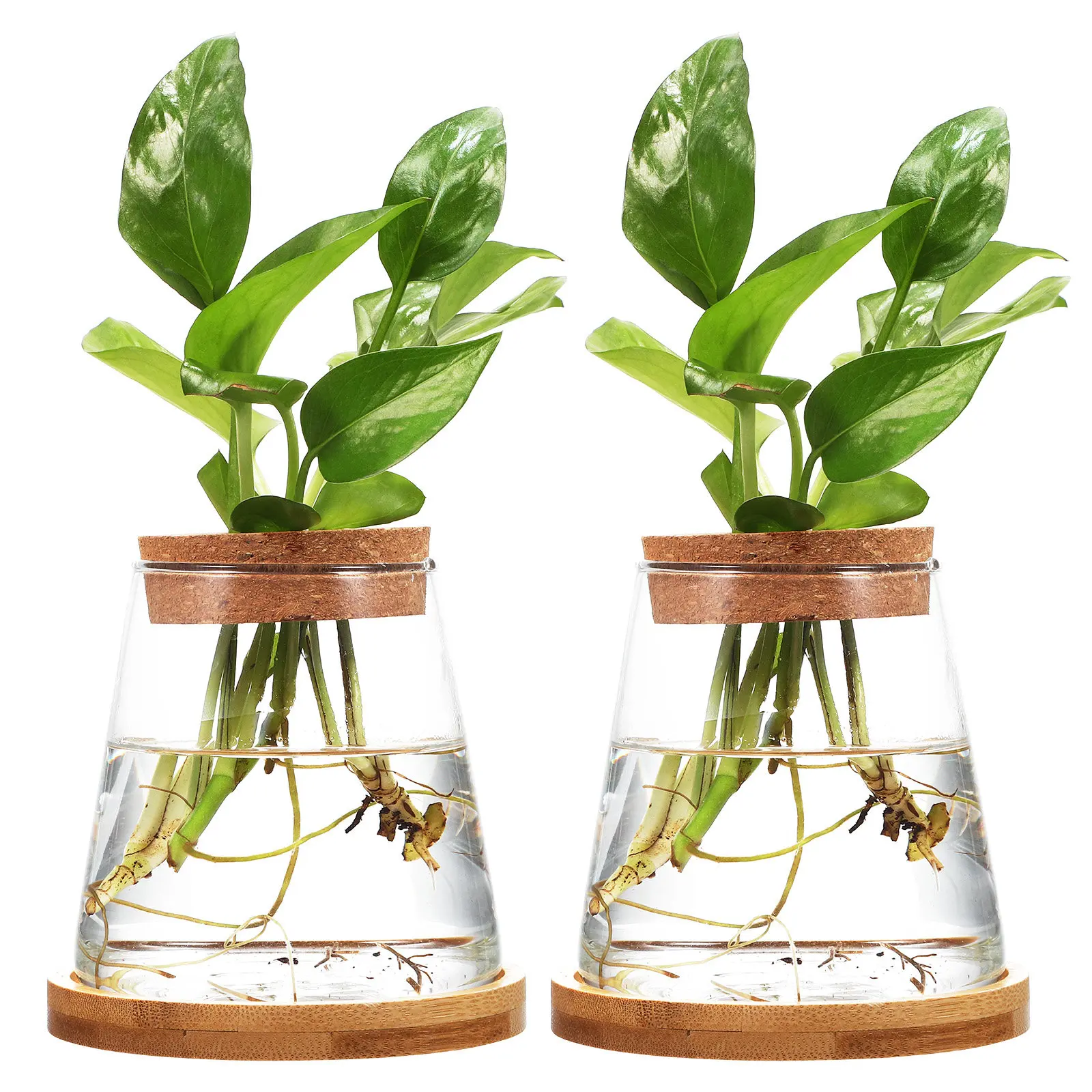 

Набор из 2 стеклянных стаканов для гидропоники и разведения золотых рыбок, прозрачные стеклянные емкости для выращивания растений с подставкой, 330 мл