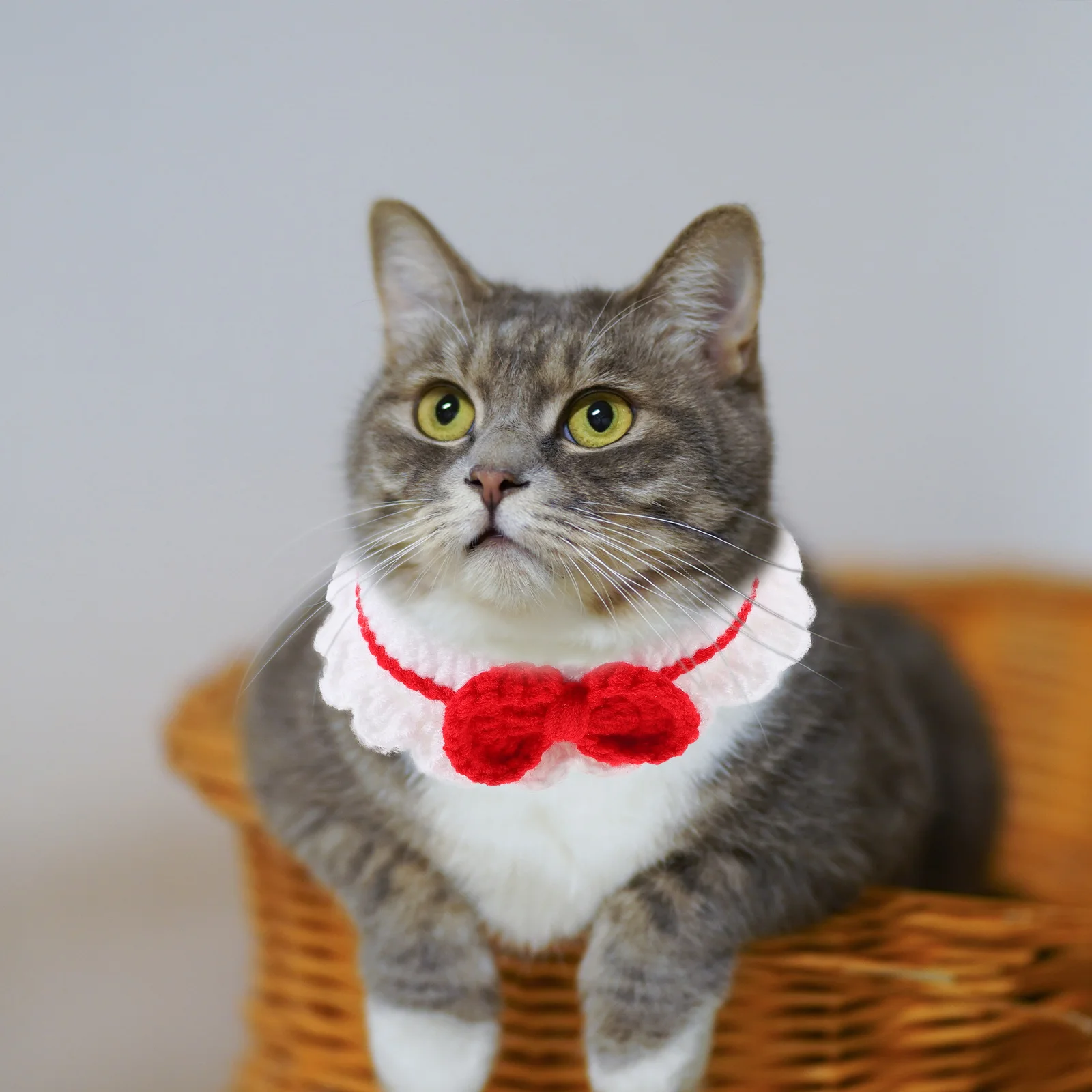 

Adorable Pet Knitted Scarf Cats Dogs Christmas Stylish Adjustable Collar Necklace Small Kittens Pets Decor Lightweight