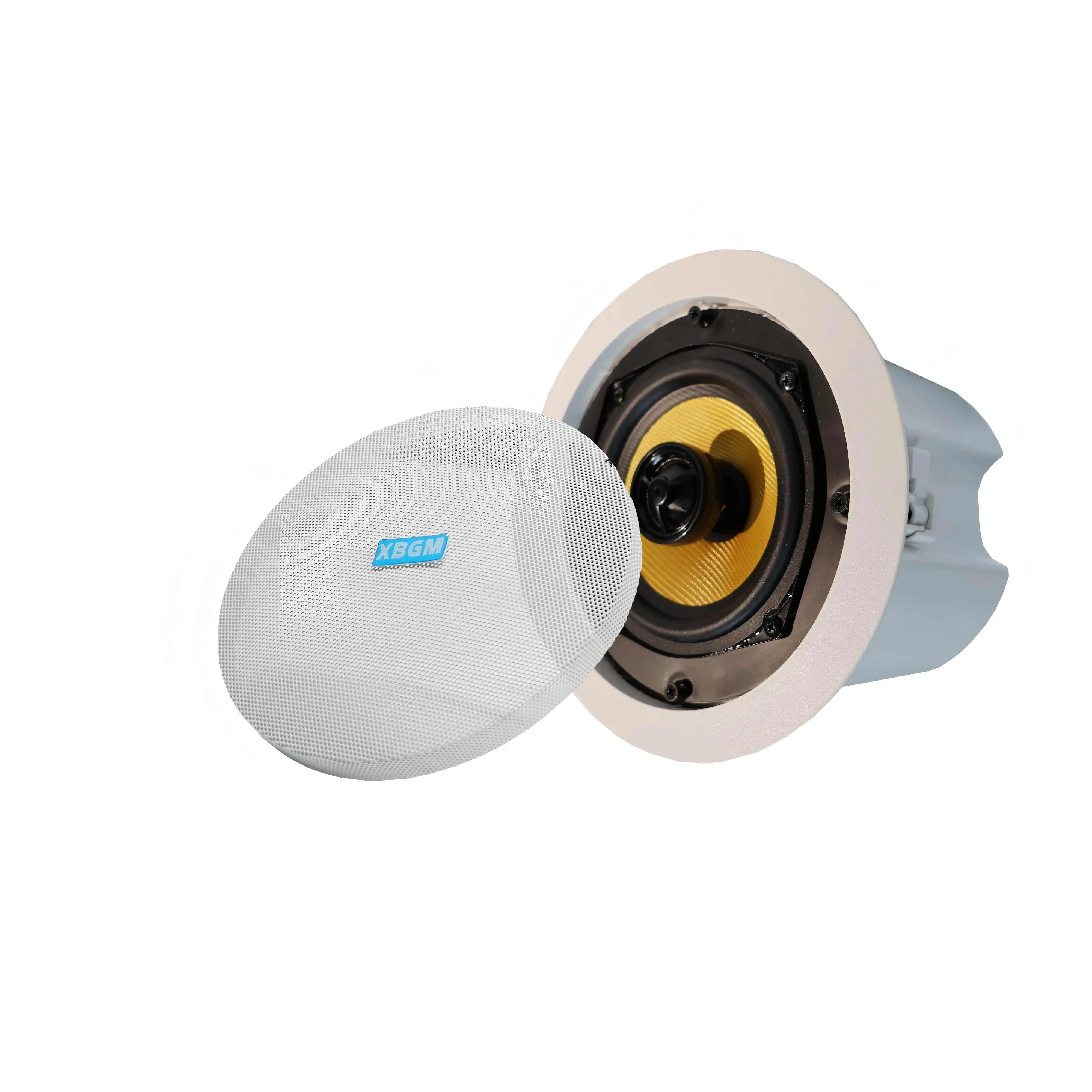 Speaker Plafon IP TLF POE Power Optional, Jaringan Nirkabel WIFI, Manajemen Kontrol Jarak Jauh Lewat Aplikasi Ponsel, Mendukung AUX