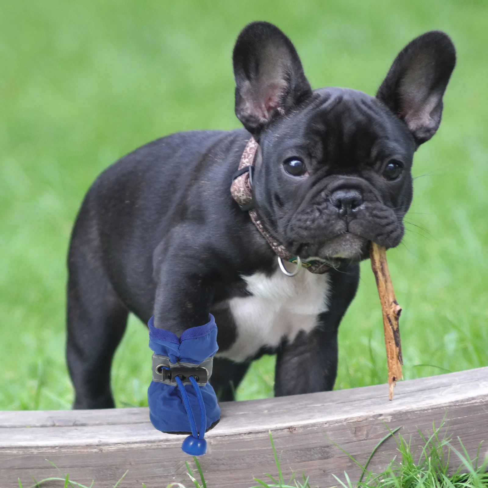 

4Pcs Waterproof Dog Boots Anti Slip Soles for Walking Hiking Blue Size S Pet Shoes Pet Dog Shoes