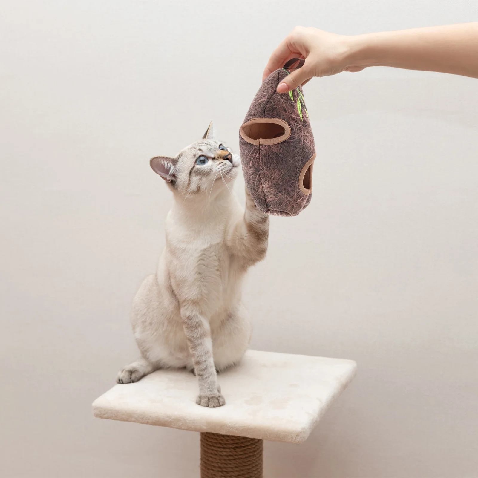 

Набор из 1 предмета: интерактивная игрушка-клетка для кошек, лежанка для агрессивных грызунов, для игр в помещении, развития интеллекта, удобная для путешествий