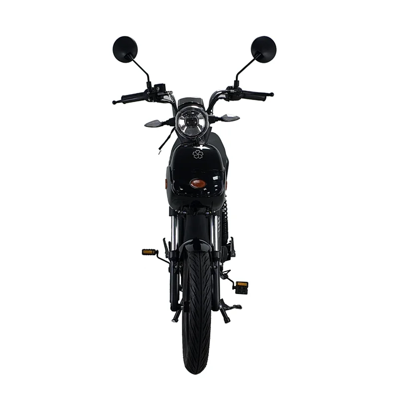 New Product  with High Popularity 800W 40km/h Electric Bicycle Electric Motorcycle